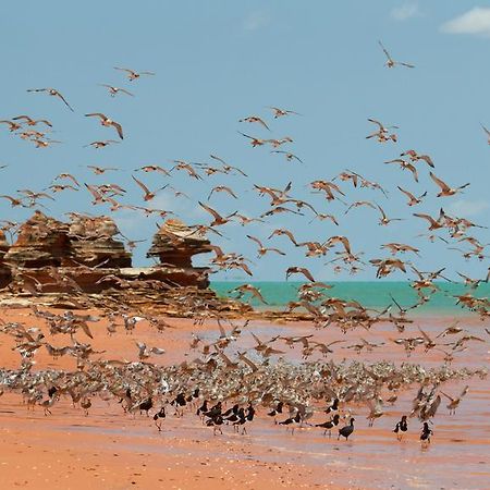 Broome Bird Observatory Dış mekan fotoğraf